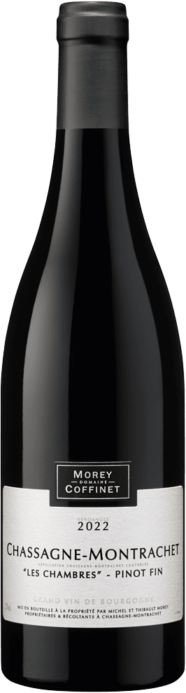 Chassagne Montrachet 1er Cru "Les Chaumes" 2022 (BIO)