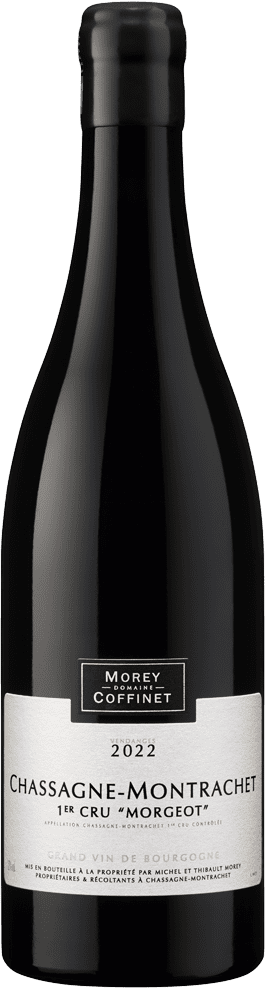 Chassagne Montrachet 1er Cru "Morgeot" 2022 (BIO)