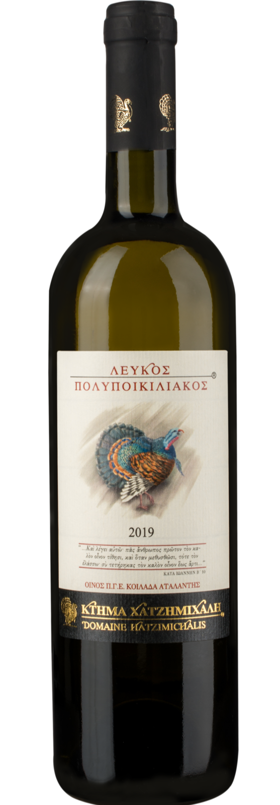 Λευκός Πολυποικιλιακός 2024