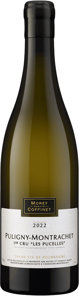 Puligny-Montrachet 1er Cru "Les Pucelles" 2022 (BIO)