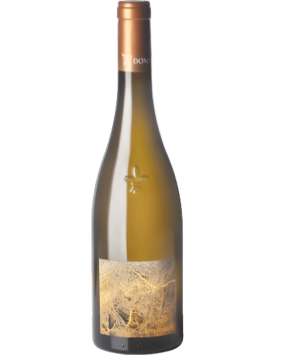 Terre de Pierre Muscadet 2022 (BIODYNAMIC)