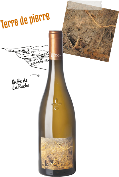 Terre de Pierre Muscadet 2022 (BIODYNAMIC)