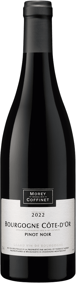 Bourgogne Pinot Noir Côte D'Or 2022 (BIO)