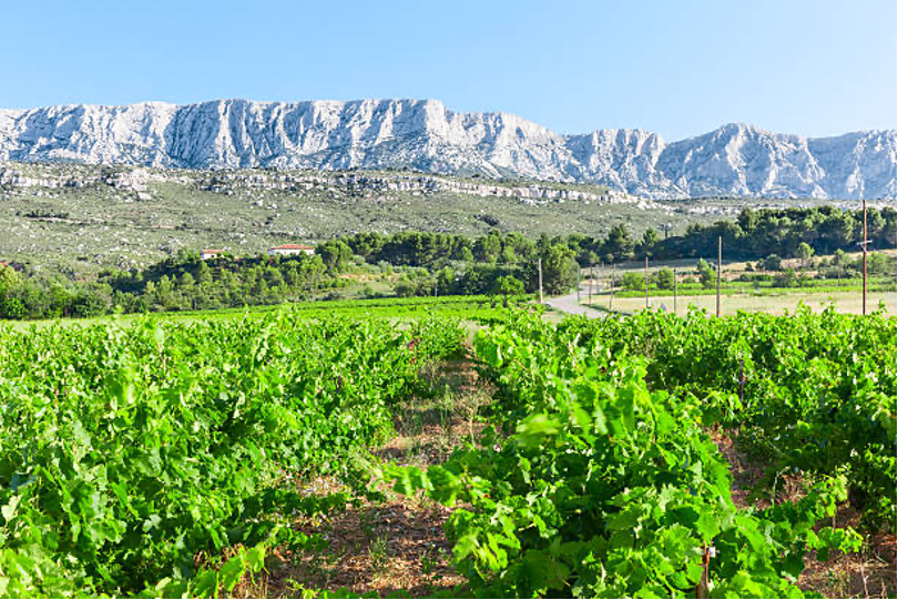 Côte de Provence Sainte Victoire | Ροζέ με χαρακτήρα