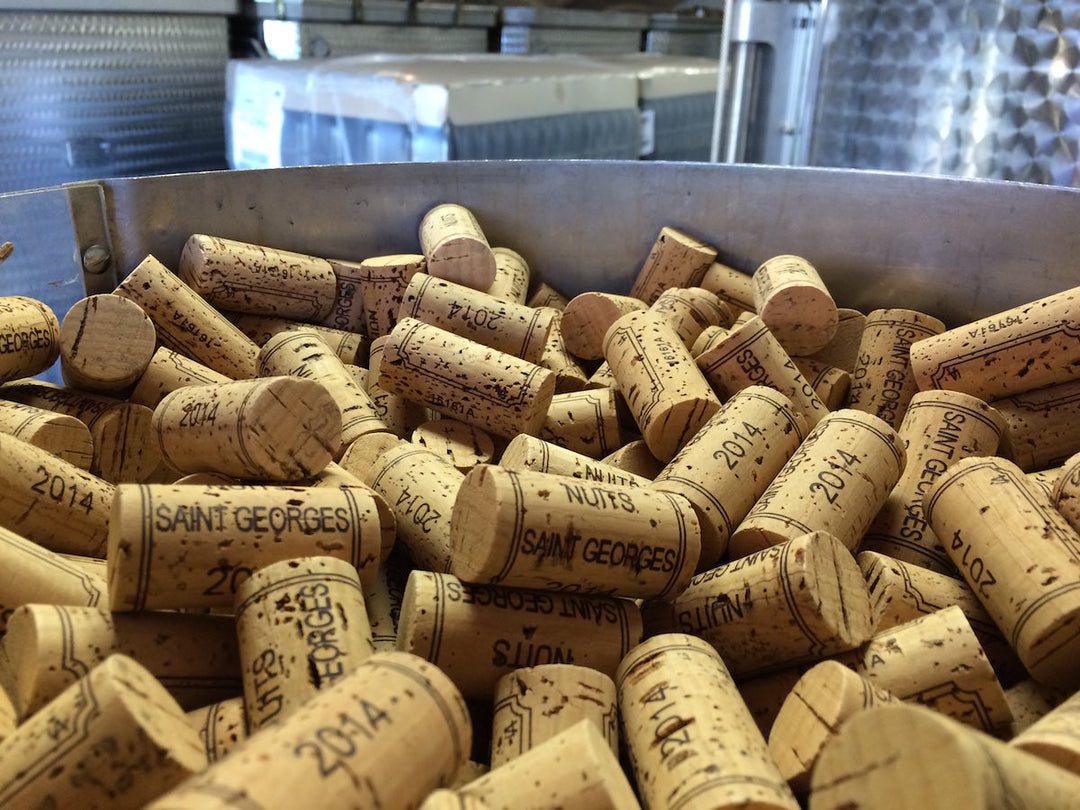 Domaine Confuron-Gindre | Η ήσυχη δύναμη του Vosne-Romanée