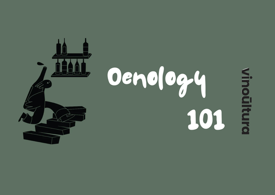 Oenology 101 | Εισαγωγή στις οινοπαραγωγικές περιοχές - New world vs Old world
