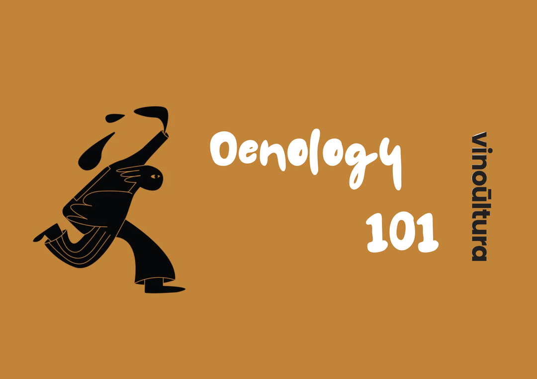 Oenology 101 | Πώς να Συνδυάσετε Κρασί με Θαλασσινά: Οδηγός & Προτάσεις για Τέλειο Ταίριασμα