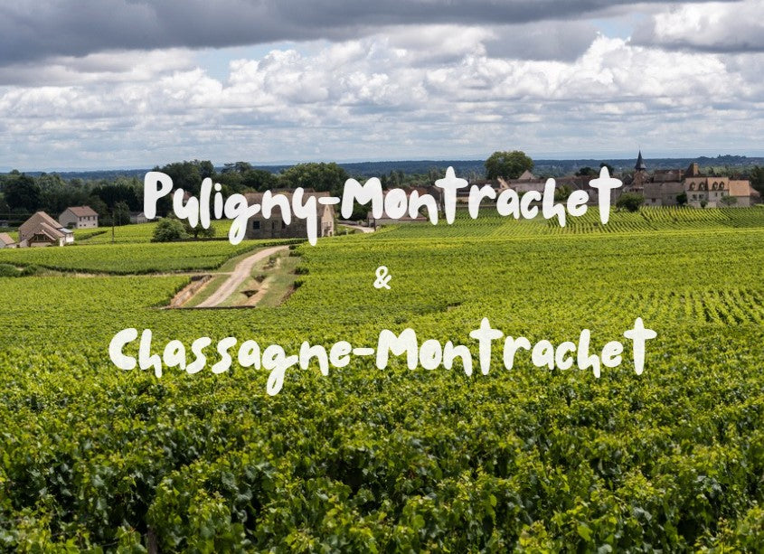 Puligny-Montrachet & Chassagne-Montrachet: Η καρδιά της λευκής Βουργουνδίας