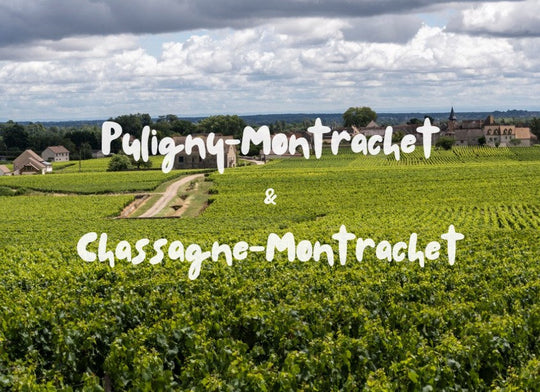 Puligny-Montrachet & Chassagne-Montrachet: Η καρδιά της λευκής Βουργουνδίας