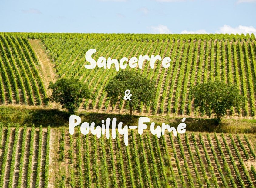 Sancerre και Pouilly-Fumé | Ο βασιλιάς του Sauvignon Blanc