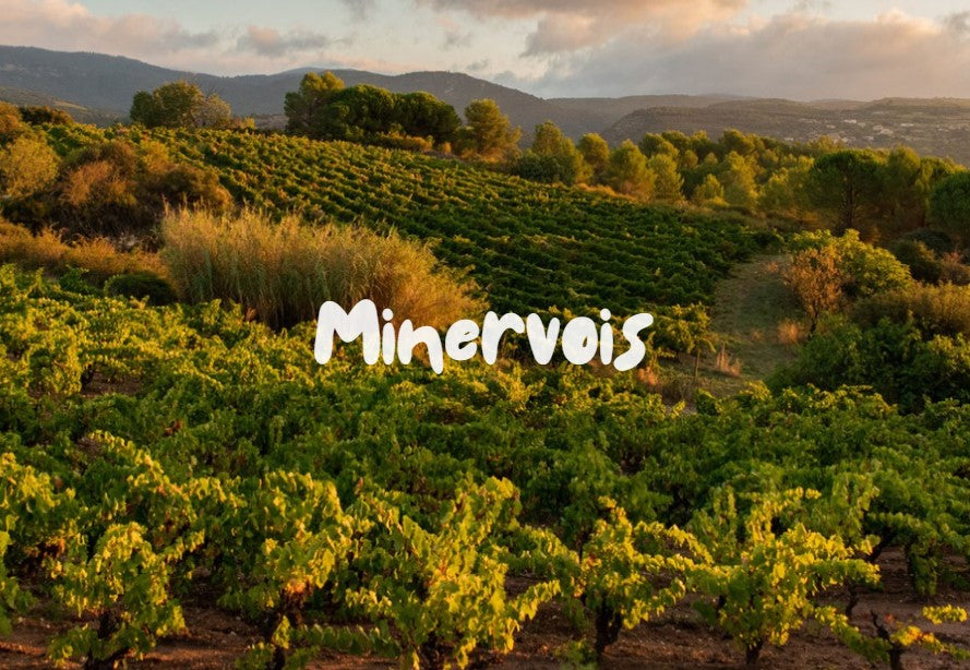 Minervois | Η αυθεντική καρδιά του Languedoc