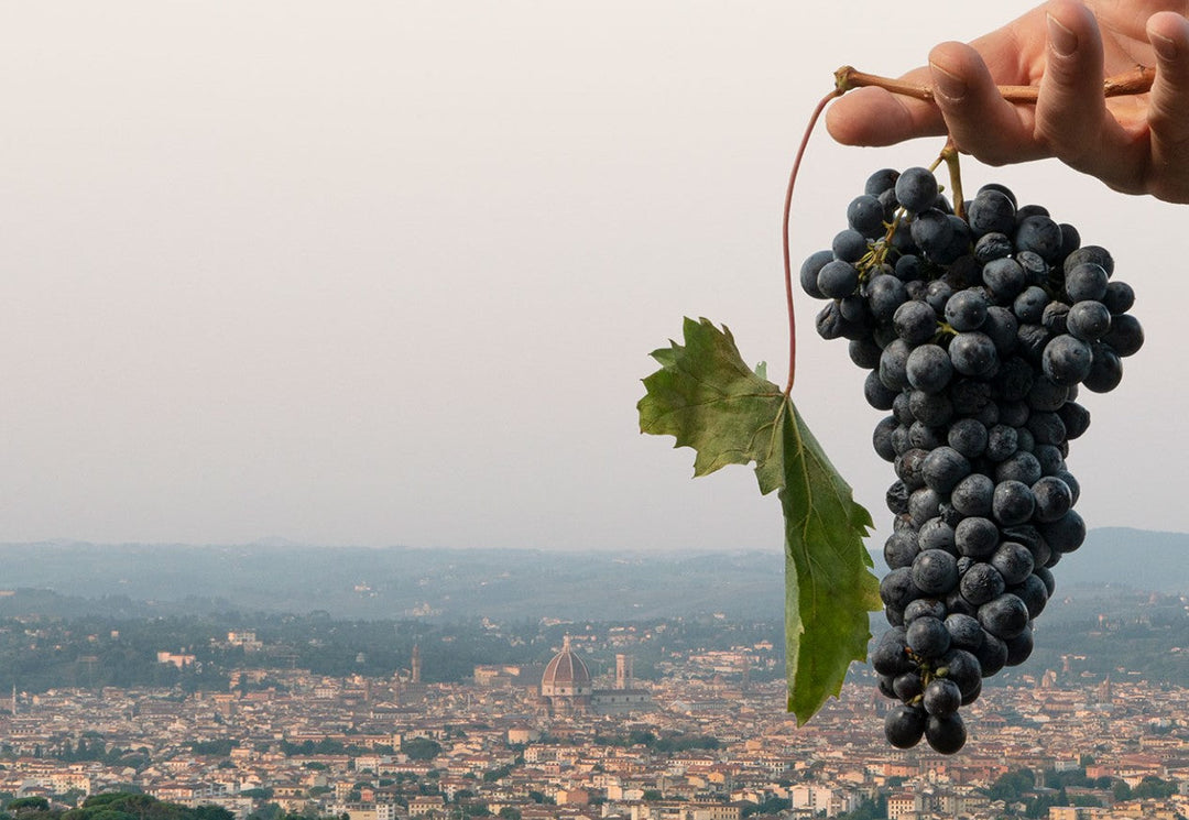 Bibi Graetz | Ο ζωγράφος που ερωτεύτηκε το Sangiovese