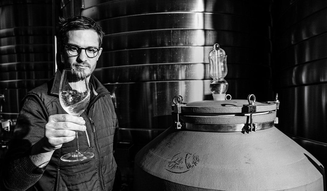 Domaine Tabordet | Οι θησαυροί του Λίγηρα με βιολογική φιλοσοφία