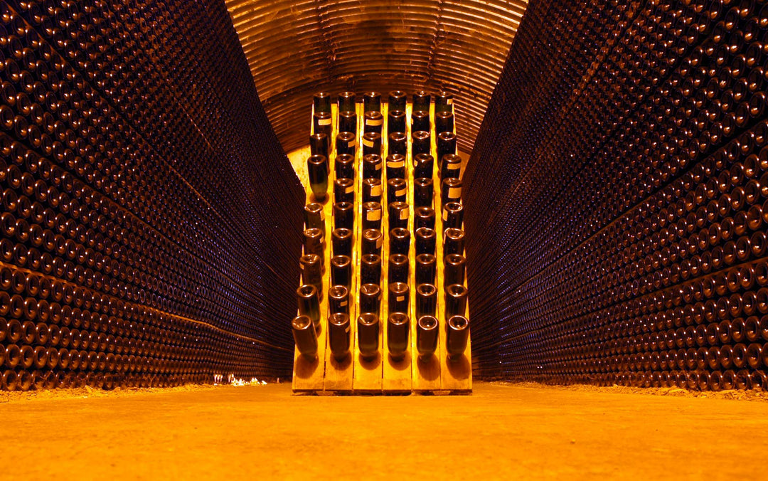 Oenology 101 | Πώς να Διατηρείς τα Κρασιά Στο Σπίτι: Οδηγός για Ιδανικές Συνθήκες