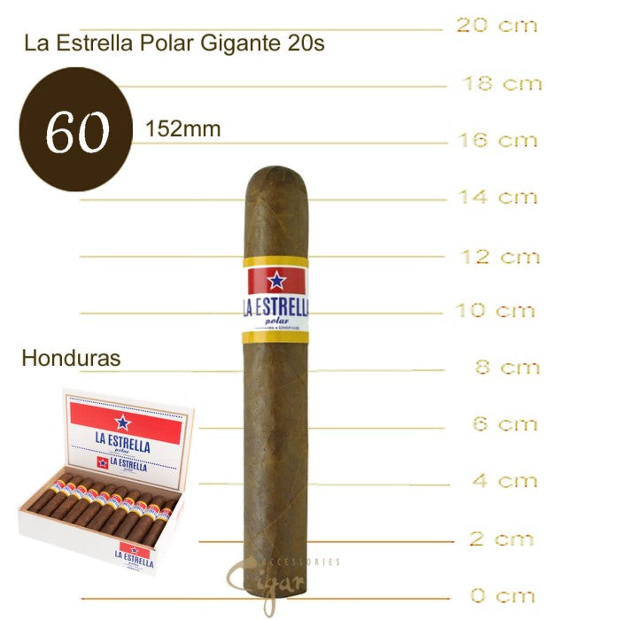 Polar Gigante