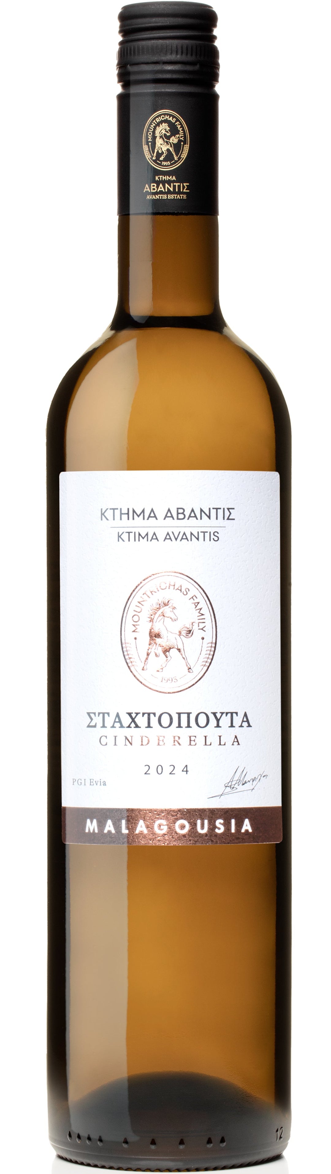 Μαλαγουζιά Σταχτοπούτα 2024