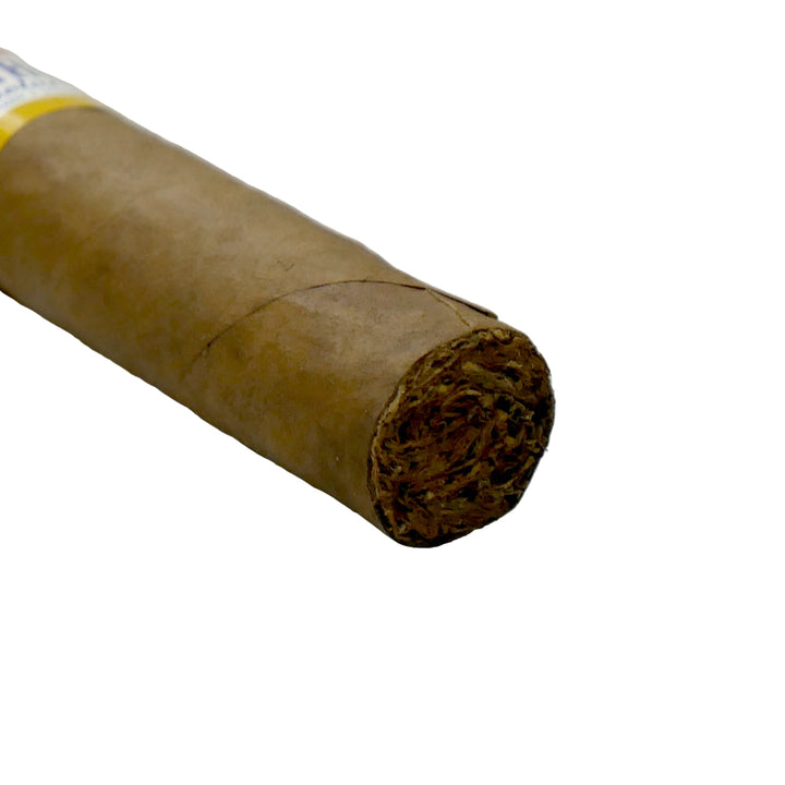 Polar Robusto