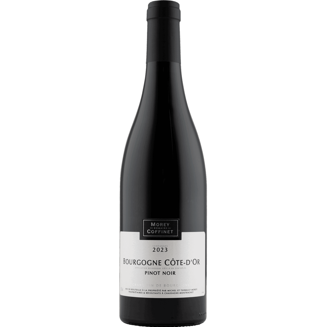Bourgogne Pinot Noir Côte D'Or 2023 (BIO)