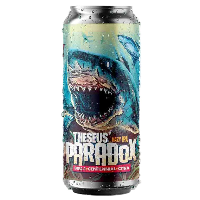 Theseus' Paradox