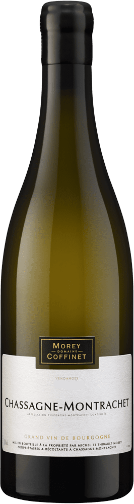 Chassagne Montrachet 2023 (BIO)