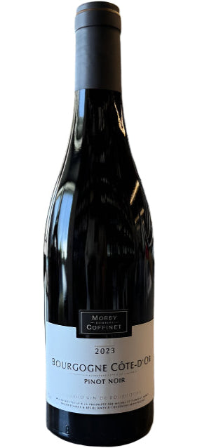 Bourgogne Pinot Noir Côte D'Or 2023 (BIO)