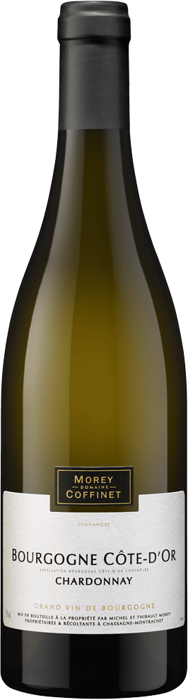 Bourgogne Chardonnay Côte D'Or 2023 (BIO)