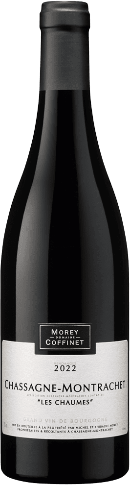 Chassagne Montrachet 1er Cru "Les Chaumes" 2022 (BIO)