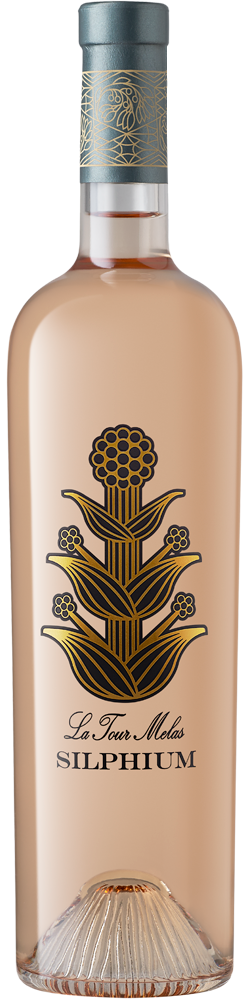 Silphium 2024