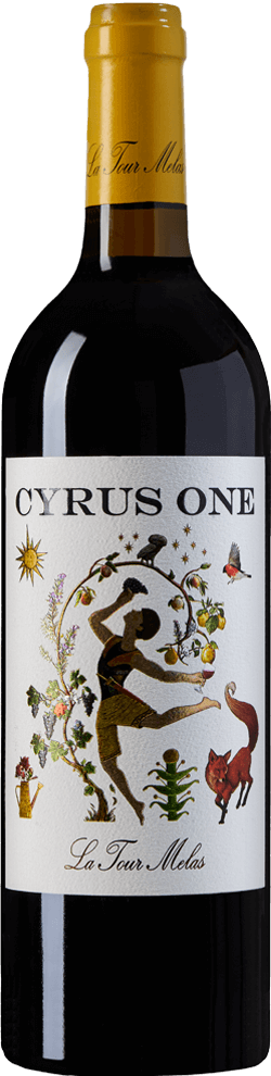 Cyrus One 2024